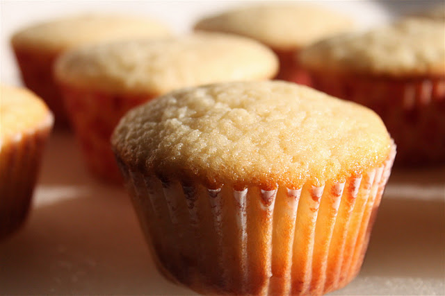 Glazed Lemon Cupcakes 